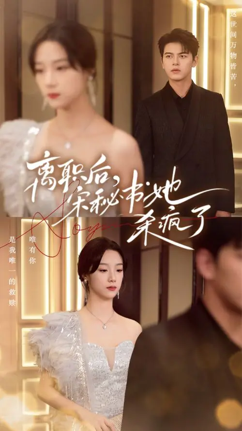 离职后，宋秘书她杀疯了 海报