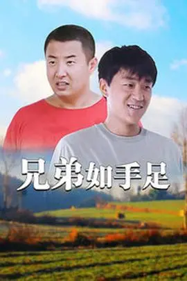 兄弟如手足：热血与羁绊交织的兄弟情义史诗