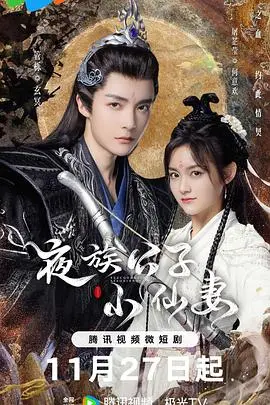 夜族公子小仙妻 海报