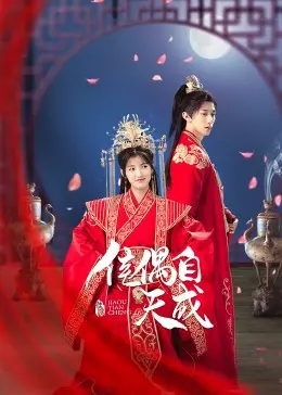 《佳偶自天成》：穿越时空的爱恋，成就一段命中注定的姻缘